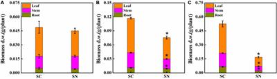 The Role of Plant Growth Regulators in Modulating Root Architecture and Tolerance to High-Nitrate Stress in Tomato